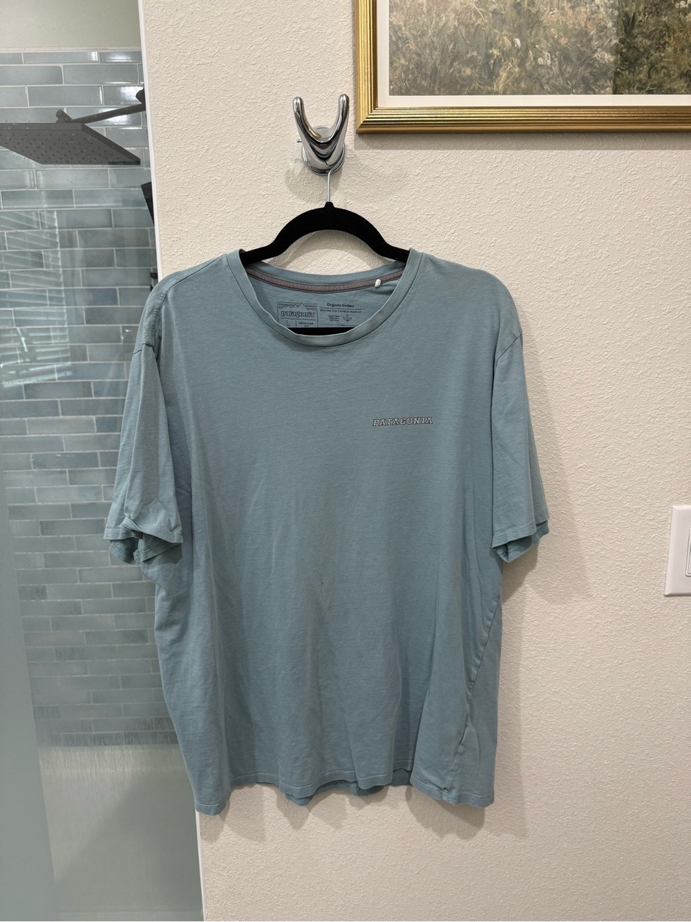 Patagonia Men’s T-Shirt